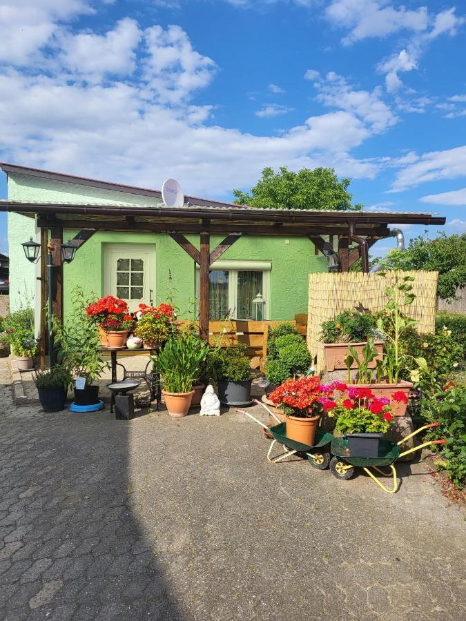 Ferienwohnung Bauerngarten Klein Vielen Bagian luar foto